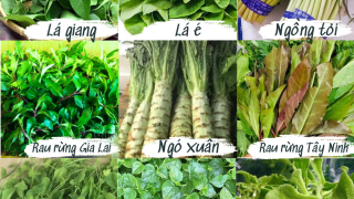 Rau đặc sản “lên ngôi” ngày tết: Vừa đắt vừa khó mua nhưng luôn cháy hàng