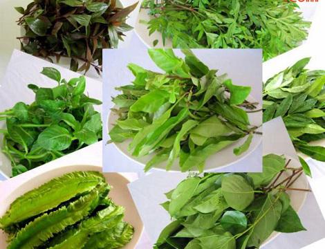 rau rung tay ninh rau dac san ngay tet