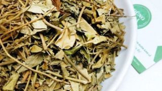 Sự thật về tác dụng của dây thìa canh với sức khỏe.