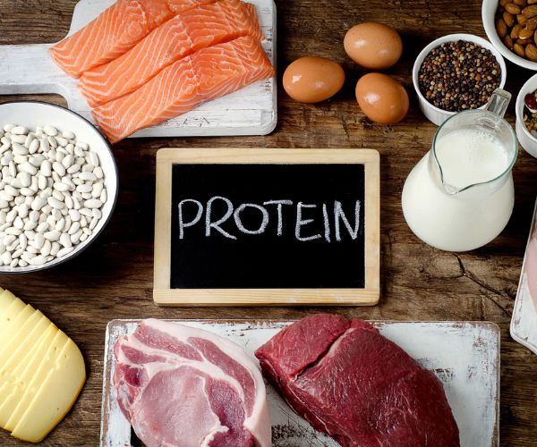 protein-la-gi.jpg
