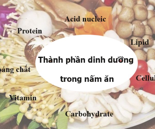 thanh-phan-dinh-duong-cua-nam.jpg
