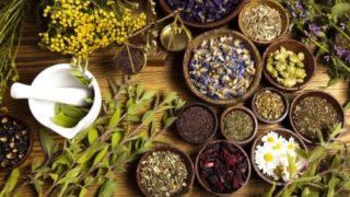 Các loại trà thảo mộc là “thuốc tiên” cho sức khỏe