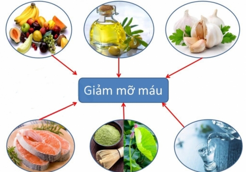 ăn gì giảm mỡ máu